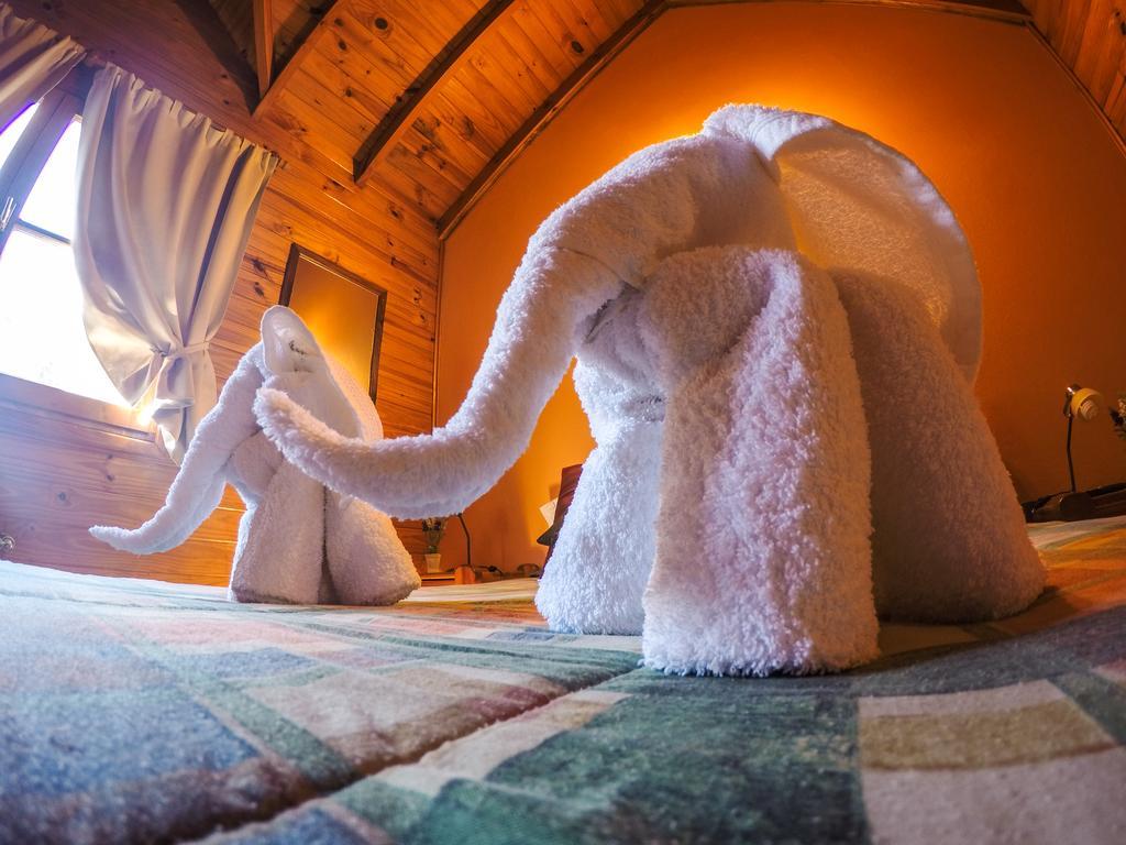 Cabanas De La Patagonia Сан-Мартин-де-лос-Андес Экстерьер фото